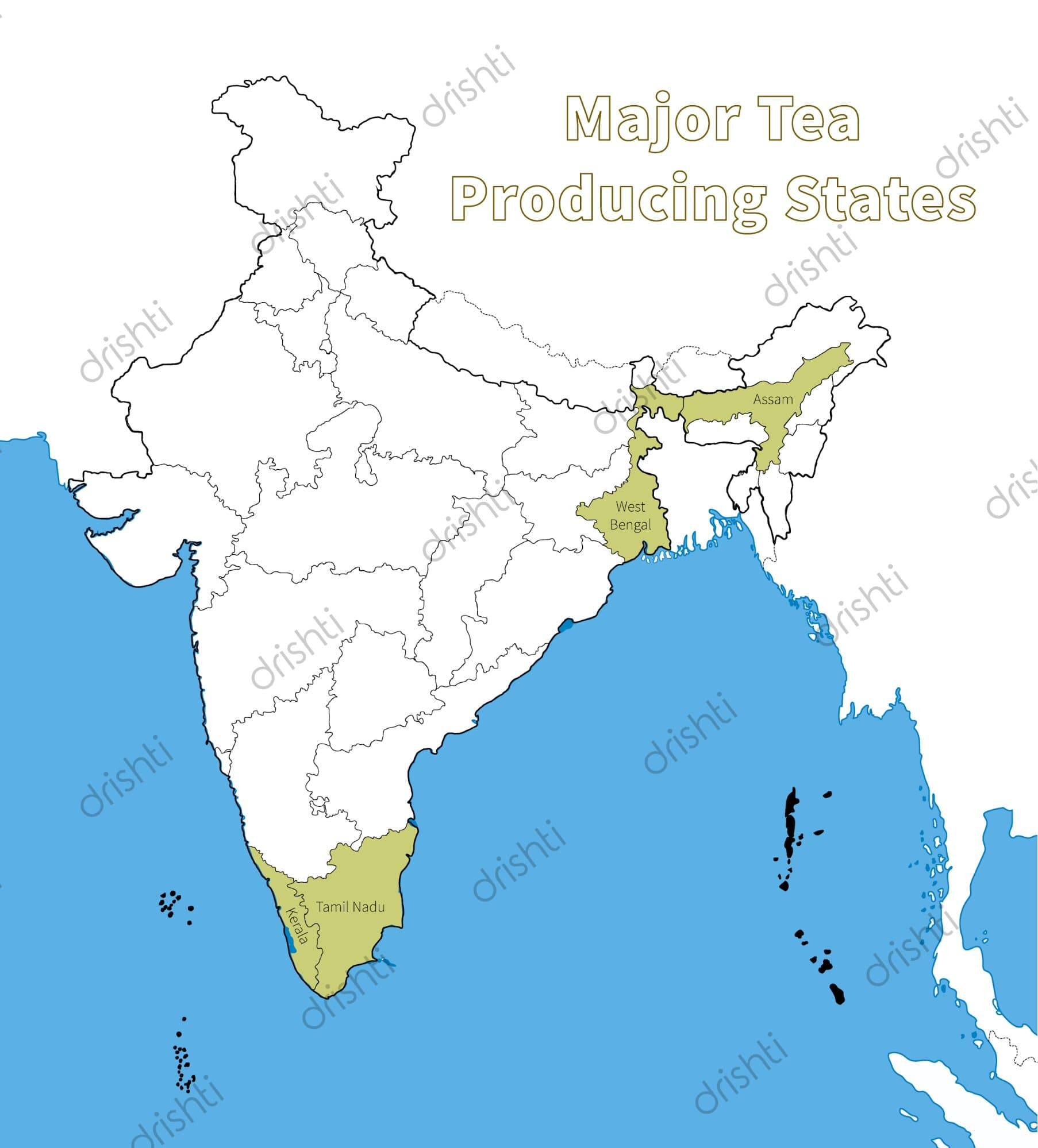 Tea _Producing_Region